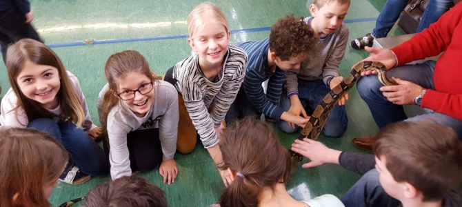 Schlangen und Reptilienshow