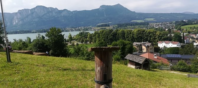 Projektausflug „Isoliert – Integriert“ Projektausflug „Isoliert – Integriert“