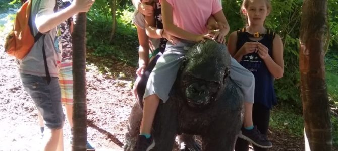 Ausflug in den Zoo Schmiding Ausflug in den Zoo Schmiding