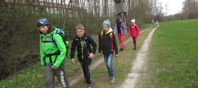 Wandertag der 3f zum Prameter Badesee