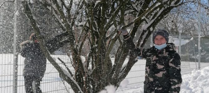 Es schneit, es schneit, …