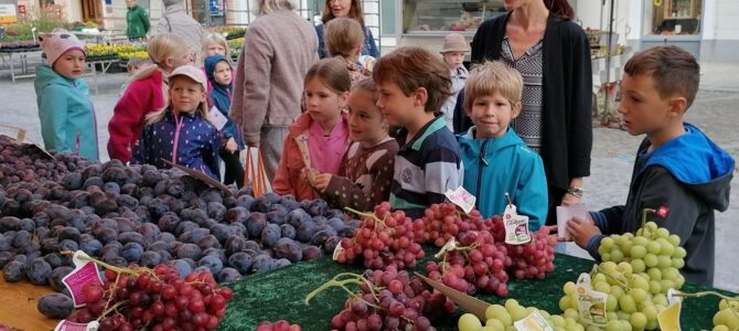 Besuch am Wochenmarkt