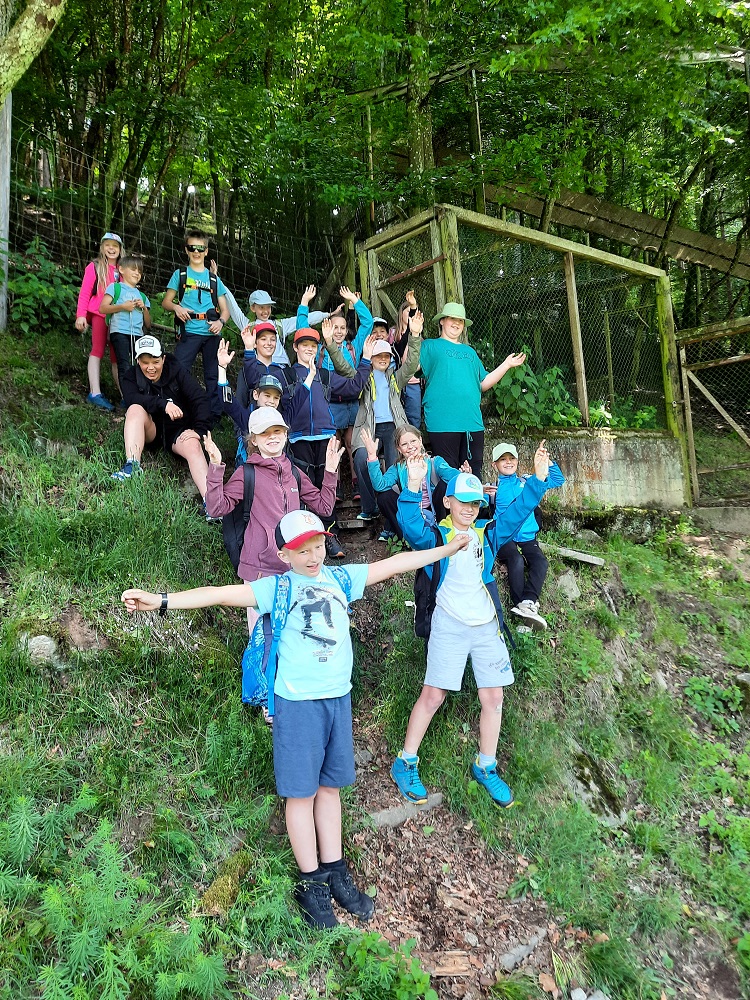 Projekttage der 4i Klasse